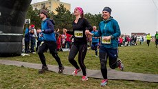 Craft RUNGO b�h p�es ty tydýty 2016