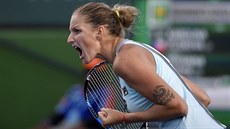 eská tenistka Karolína Plíková se raduje z výhry nad  Britkou  Johannou...