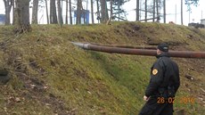 Strá�níci se marn� pokou�eli chytit mazanou li�ku, která má v areálu nemocnice...