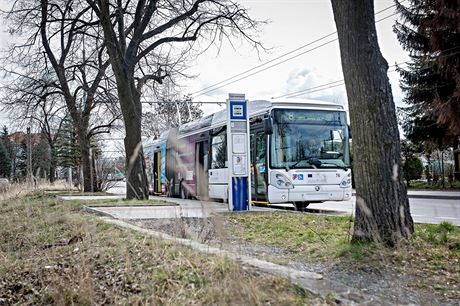 MHD v eských Budjovicích má 22 linek. Jezdí na nich autobusy a trolejbusy. 