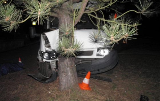 Řidič dodávky narazil na sídlišti Plešivec do stromu. Zraněním podlehl.