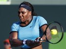 Serena Williamsová se chystá k úderu v utkání se Svtlanou Kuzncovovou.