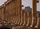 Velká kolonáda v Palmýe zstala podle fotografií tém netknutá. (27. bezna...