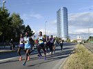 Pohled na ��astn�ky olomouck�ho p�lmaratonu, kter� se v ulic�ch m�sta b�el v...