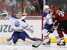 Cam Talbot, branká Edmontonu, elí stele Jiího Sekáe (vpravo) z Arizony.