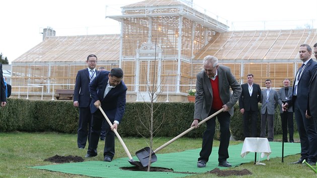 Prezidenti ny a eska spolen v zmeckm parku zasadili strom (28. bezna 2016)