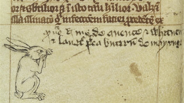 Sedc zajc v rukopisu ze trnctho stolet