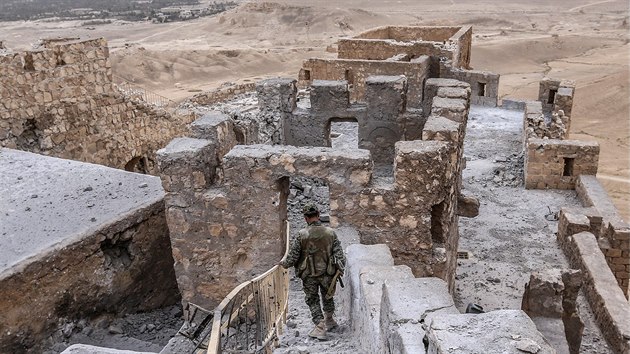 Syrsk vojk prochz pevnost z 13. stolet, kter se ty nad Palmrou (27. bezna 2016)