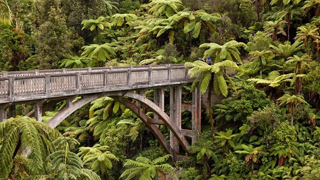 Mangapurua, Nový Zéland. Velká atrakce národního parku Whanganui. K mostu skrytému v pralese nevedou silnice, dostanete se k němu leda lodí a pěšky. 