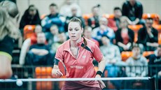 Stolní tenistka Dana �echová