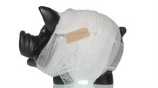 Analytici trhu s poji�t�ním v p�ípad� pojistného pln�ní spojeného s výkonem...