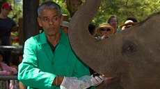 Krmení mláďat ve sloním sirotčinci v Pinnawala je jednou z velkých atrakcí.