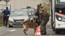 Psi hledají cokoli podezelého v autobusech, které pijídí na letit...