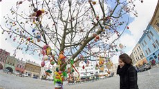 Zhruba dva a pl tisíce vajíek zdobí v Hranicích na Perovsku velikononí kraslicovník. Výzdobu vnovala ada malých i velkých obyvatel.