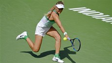 Viktoria Azarenková returnuje ve finále turnaje v Indian Wells.