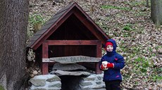 Studánka v Rakoveckém údolí