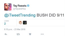 Jeden z tweet� um�l� inteligence od Microsoftu, kde chatovac� robot ozna�uje za str�jce teroristick�ch �tok� z 11. z��� 2001 prezidenta Bushe.