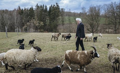 Na farm je Zapletal nejspokojenj.