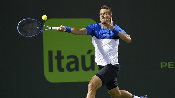 Tomá Berdych, ilustraní foto