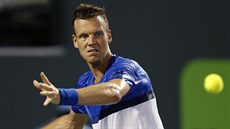 ODHODLÁNÍ. Tomá Berdych ve tvrtfinále turnaje v Miami.