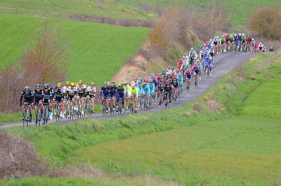 Cyklistický peloton na závod Kolem Baskicka. ilustraní foto
