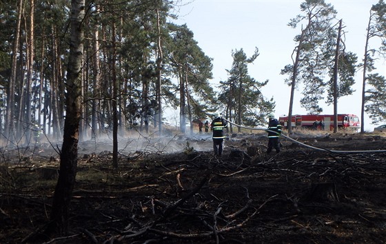 Požár lesa po pálení klestí u Naloučan na Třebíčsku zaměstnal hasiče na několik...