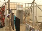 ivot uprchlík v táboe Idomeni