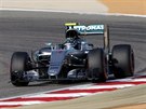 Nico Rosberg bhem tetího tréninku na Velkou cenu Bahrajnu.