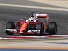 Vítz tetího tréninku na Velkou cenu Bahrajnu Sebastian Vettel.