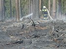 Poár lesa po pálení klestí u Nalouan na Tebísku zamstnal hasie na nkolik...
