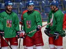 Čeští hokejisté na pondělním tréninku v Ústí nad Labem.