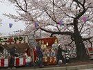 Na oslavu kvetoucích sakur byly vyzdobeny i ulice v druhém nejvtím japonském...