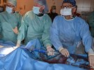 T�m profesora �ervinky m�n� pacientce dv� chlopn� b�hem jedin� operace.