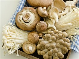 Asijsk houby enoki, shimeji a hlva