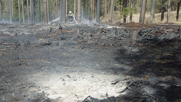 Požár lesa po pálení klestí u Naloučan na Třebíčsku zaměstnal hasiče na několik hodin.
