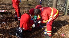 Na �estapadesátiletého mu�e spadla p�i kácení strom� v�tev (2. duben 2016)