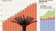 Produkce a úel palmového oleje ve svt.