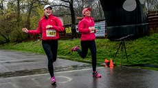 Craft RUNGO razovitý bh 2016