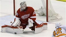 Jimmy Howard z Detroitu likviduje pokus Marka Streita z Philadelphie.