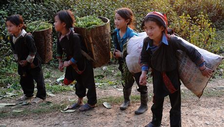 Dvanáctileté dívky v severní provincii Vietnamu Ha Giang (8. bezna 2012)