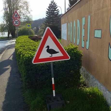 Dopravní znaka, která upozoruje na kachny u Kyjského rybníka v Praze.