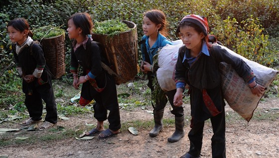 Dvanáctileté dívky v severní provincii Vietnamu Ha Giang (8. března 2012)