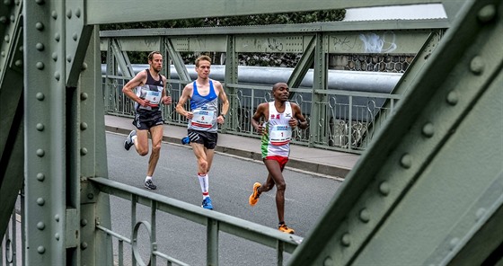 Na snímku z loského plmaratonu vítzný Kean Joel Mwangi bí ped libereckým Vítem Pavlitou a studeneckým Janem Kreisingerem.