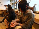 V Tokiu mají jeí kavárnu, kde se za poplatek 1000 jen lze hodinu mazlit s...