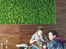 Zajímavostí rawfoodové restaurace je ivá zelená stna z mech.