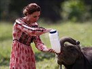Kate si v národním parku vyzkouela krmení mláat nosoroce i slona. Pevlékla...