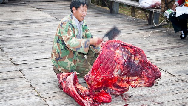 Zemědělec porcuje tělo jaka, čínská provincie Jün-nan.