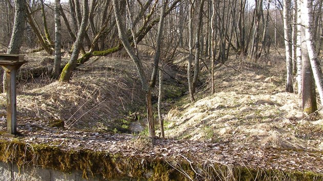 Letos obnovovaný rybník v lokalitě Za Vodárnou na potoce Olšina bude mít plochu dokonce jen tisíc metrů a práce přijdou na 2,5 milionu korun.