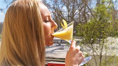 �ádný alkohol. Smoothie po malých dávkách ne�kodí v jakémkoli mno�ství!