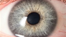 Jakub �t�pán nafotil v rámci projektu Human Eye více ne� t�i stovky lidských...